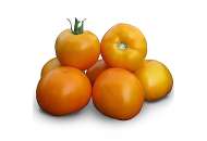 Айсан F1 (КС 18 F1) - томат детерминантный, 1000 семян, KITANO фото, цена