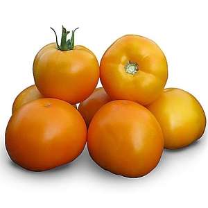Айсан F1 (КС 18 F1) - томат детерминантный, 1000 семян, KITANO фото, цена