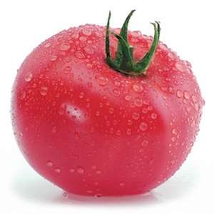 Касамори F1 - томат индетерминантный, KITANO фото, цена