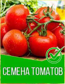Топ семян томатов 2020-2021 год, фото, цена