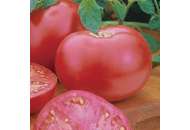 Пинк Леди F1 - томат индетерминантный, 500 семян, Seminis (Семініс) Голландия фото, цена