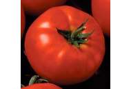 Президент II F1 - томат индетерминантный, 250 семян, Seminis (Семинис) Голландия фото, цена