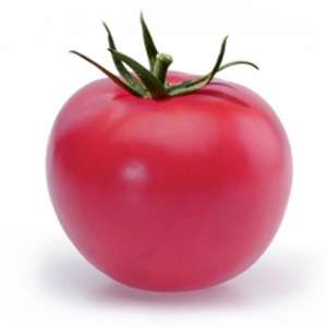 Батлер КС F1 - томат индетерминантный, 1000 семян, KITANO фото №1, цена