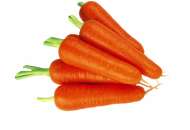 Семена моркови фото, цена