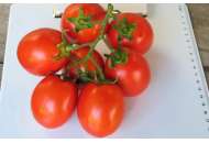 Цурюпинский F1 - томат, 50 гр, детерминантный фото, цена