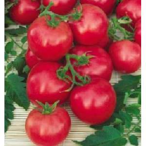 Григорашик F1 - томат, штамповый фото, цена
