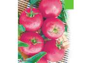 Розовая Ляна - томат детерминантный фото, цена