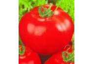 Перун F1 - томат індетермінантний фото, цiна
