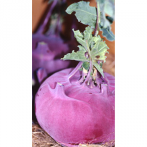 Пурпурная - капуста кольраби 0,5 г, ТМ Элитсортнасиння фото, цена