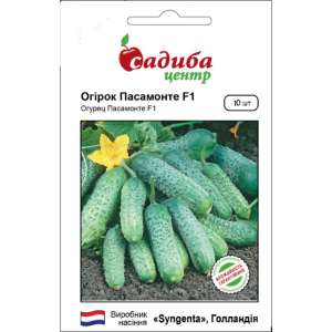 Пасамонте F1 - огурец партенокарпический, 10 семян,   Украина фото, цена