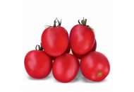 Семена низкорослых томатов мелкой фасовки фото, цена