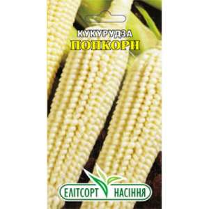Попкорн - кукуруза, 5 гр., ООО Агрофирма-Элитсортсемена, Украина фото, цена