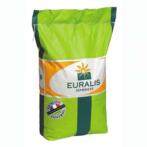  Веритис - кукуруза, семена кремнисто-зубовидного типа, 80 000с, EURALIS (Евралис), Украина фото, цена