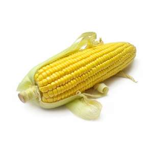 ЄС Кубус - кукурудза, 80 000 насінин, EURALIS Франція фото, цiна