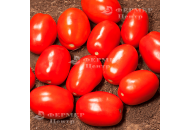 Дерика F1 (КС 720 F1)  - томат детерминантный, 10 000 семян, Kitano (Китано) Япония фото, цена