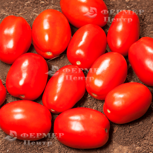 КС 720 F1 (Деріка) - томат детермінантний, 1000 насінин, Кітано (Кітано) Японія фото, цiна