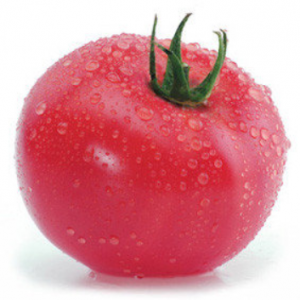 Китару (КС 14) F1 - томат индетерминантный, KITANO фото, цена