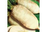 Центаур поли - буряк кормовий білий (1 кг)  Польща  фото, цiна