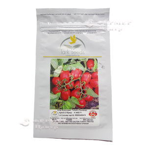 3402 F1 - томат детермінантний (Lark Seeds) фото №1, цiна