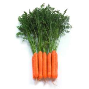 Марион F1 - морковь, 50 000 семян, Moravo Seed, Чехия фото, цена