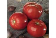 Белла Роса F1 - томат детермінант, 1000 насіння, Sakata (Саката), Японія фото, цiна