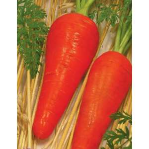 Червоний гігант - морква, 0,5 кг, Satimex Німеччина фото, цiна