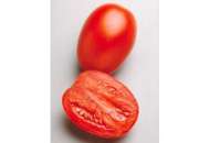 Гваделетте F1 - томат детермінантний, 1000 насінин, Seminis Голландія фото, цiна