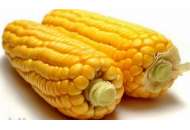НК Фальконе - кукурудза, 80 000 насінин, Syngenta Голландія фото, цiна