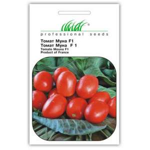 Муна F1 - томат детерминантный, 5000 семян, Tezier (Тезиер) Франция фото, цена