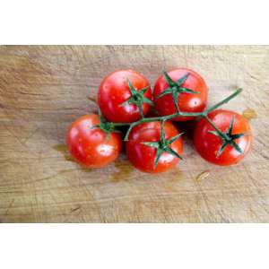 Самсон - томат детермінантний, 25 гр, Moravoseed (Моравосид), Чехія фото, цiна