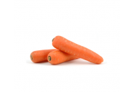 Берлика F1 - морковь, Moravoseed (Моравосид)  фото, цена