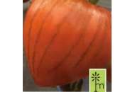 Геродес - томат индетерминантный,  кг, Moravoseed (Моравосид), Чехия фото, цена