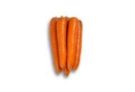 Кнота F1 - морковь, Moravoseed (Моравосид)  фото, цена