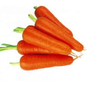 Ступицька - морква,  кг, Moravoseed (Моравосид), Чехія фото, цiна