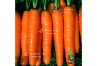 Балтімор F1 - морква, 100 000 насіння (1,6-1,8 мм), Bejo Голландія фото, цiна