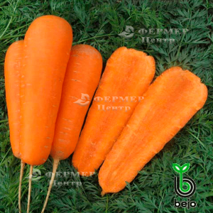 Кардіф F1 - морква, 100 000 насіння (1,6-1,8 мм), Bejo (Бейо), Голландія фото, цiна