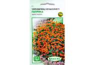 Чернобривцы узколистные Паприка - цветы, 0,1 г семян, ТМ Вассма фото, цена