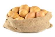 Cемена картофеля фото, цена