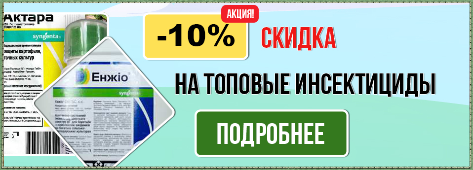 insekt-ru