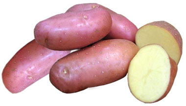 Картопля Розара: сорт, вирощування, користь та використання на кухні